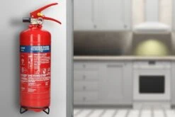 Alecto BP2 Poederblusser -Buiten Kamperen 64b316015a4d8458