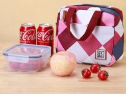 Merkloos Brisby 4-laags Geïsoleerde 4 Liter Koeltas - Blok Rose -Buiten Kamperen 665db7637f7997.12971783