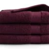 DoubleDry Hotel 70 X 140 Cm Set Van 3 Handdoeken - Bordeaux -Buiten Kamperen 79a13247cfb62911