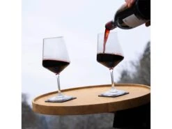 Silwy Wein Classic Magnetische Kunstof Glazen - 2 Stuks -Buiten Kamperen a6a22c3663b85e47