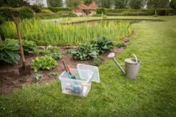 Curver Handy+ 20 Liter Opbergbox Met Deksel - 3 Stuks -Buiten Kamperen ec6bc92d1e9c162c