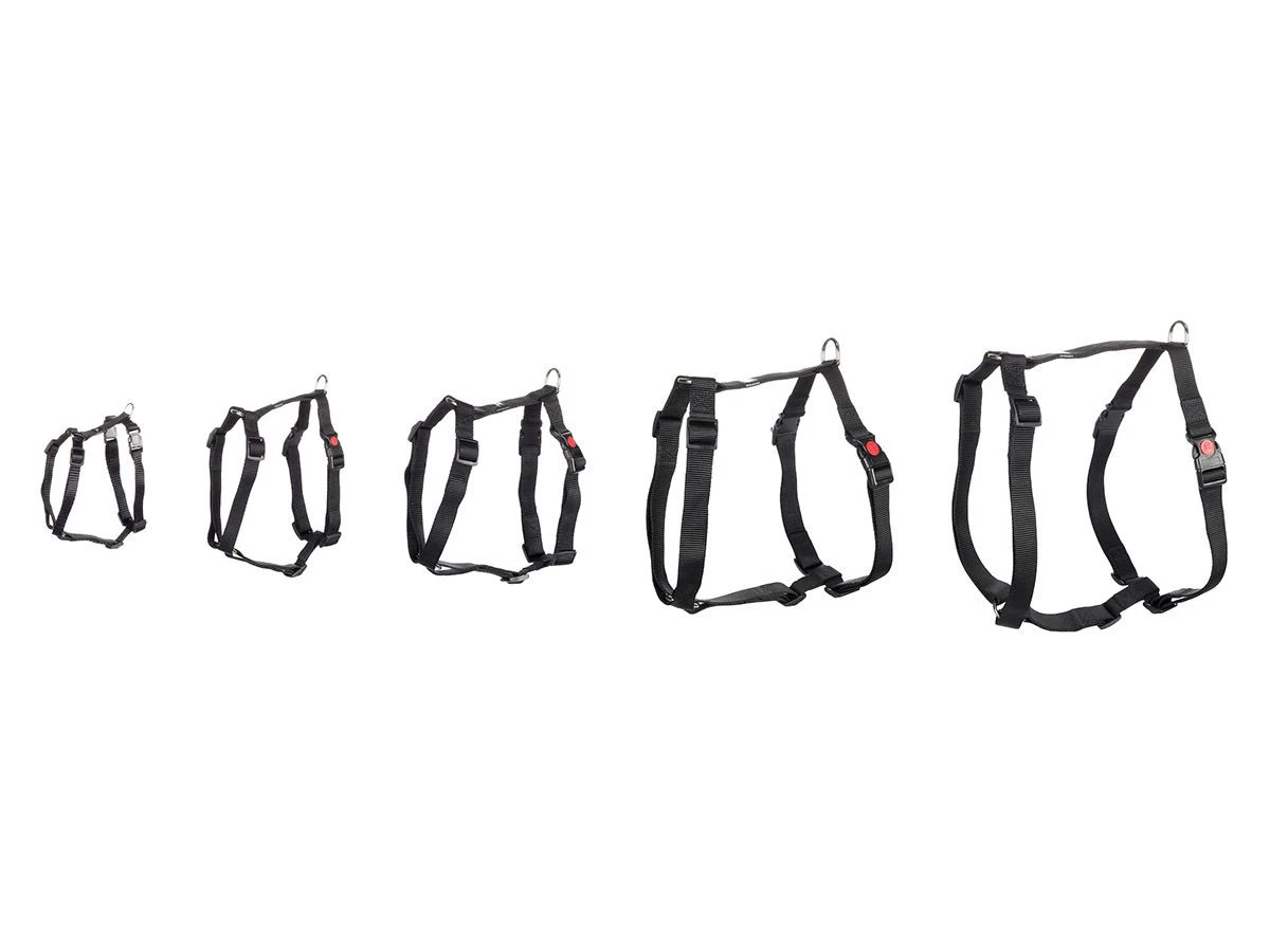 Flamingo Ziggi Black Harnas - L 4 Flamingo Ziggi Black Harnas - L - Afbeelding 2