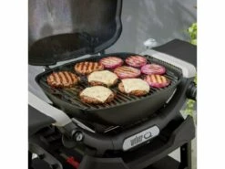 Weber Q 1200N Gasbarbecue -Buiten Kamperen weber q 1200n stand gasbarbecue afb6 ecommerce